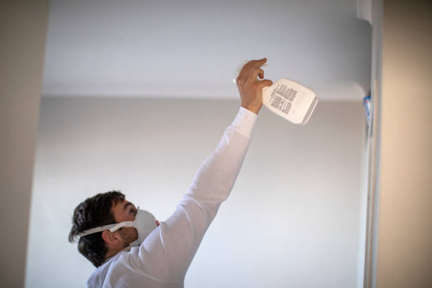 Best Emergency Mold Remediation in Irondale, GA