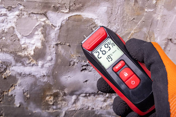 Best Post-Remediation Services in Irondale, GA